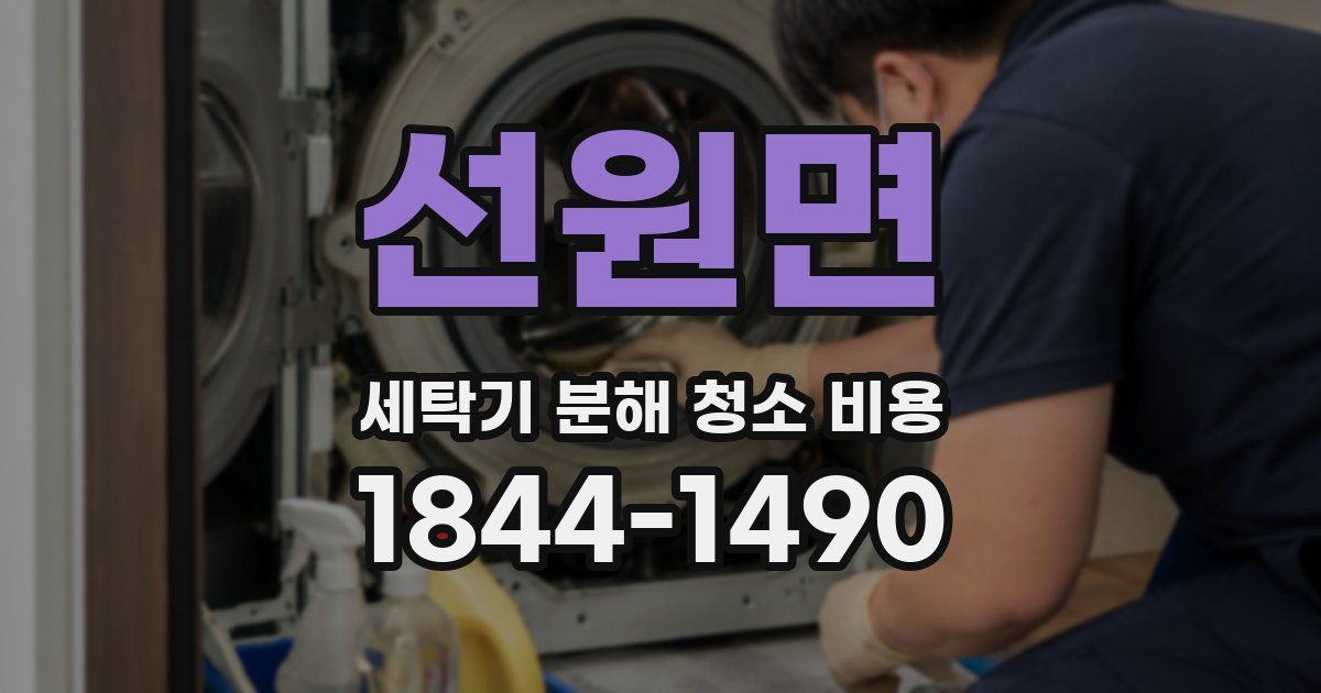 선원면 세탁기 분해 청소 비용