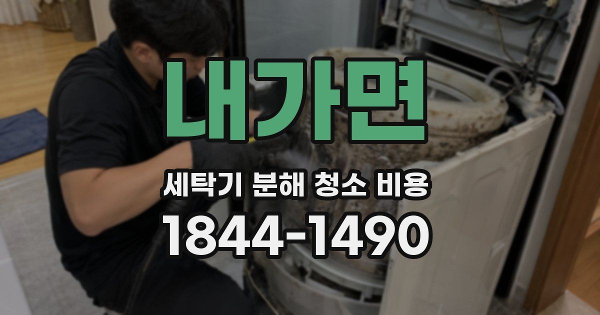 내가면 세탁기 분해 청소 비용