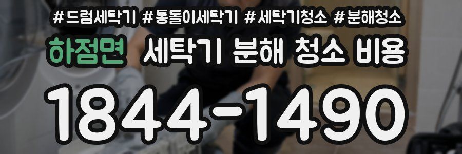 하점면 세탁기 분해 청소 비용