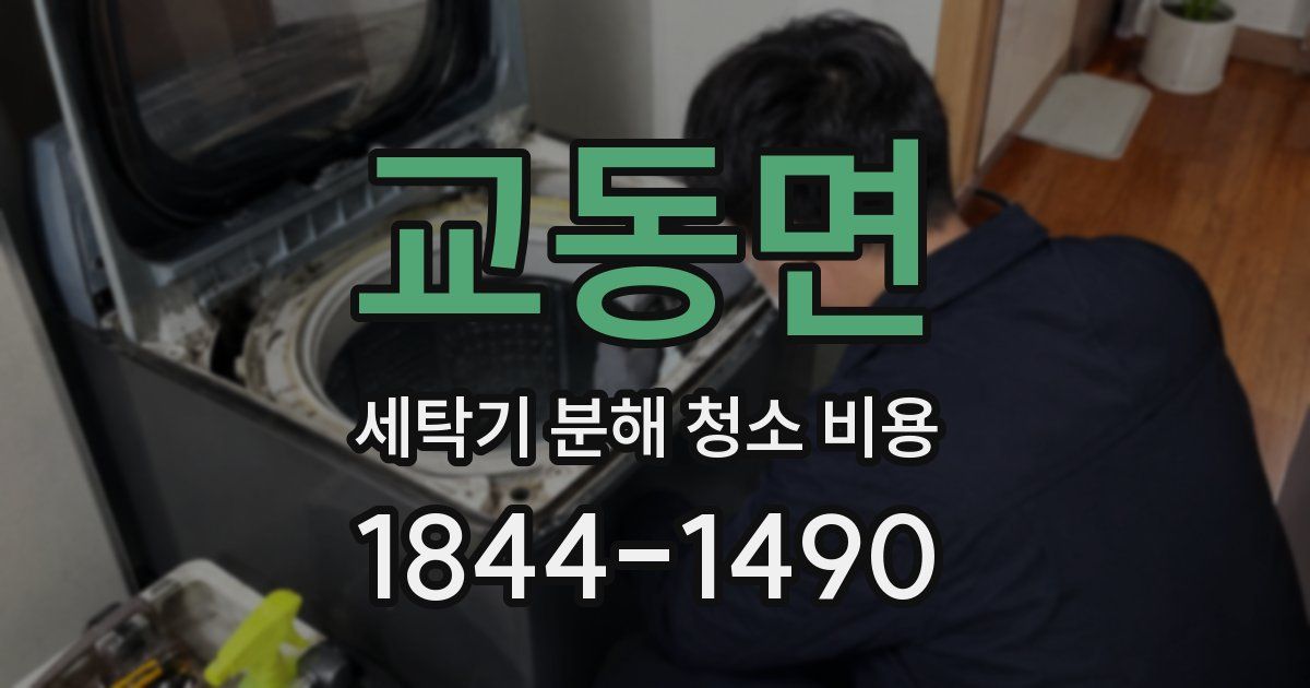 교동면 세탁기 분해 청소 비용
