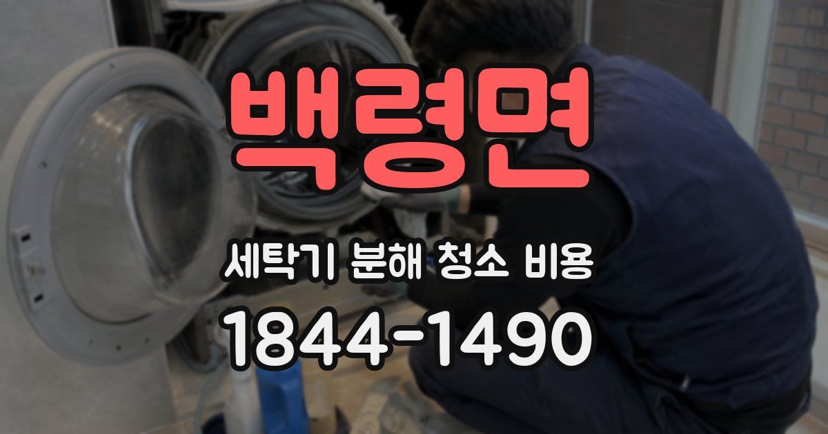 백령면 세탁기 분해 청소 비용