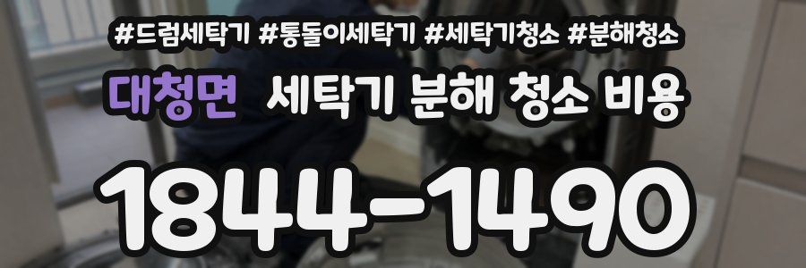 대청면 세탁기 분해 청소 비용