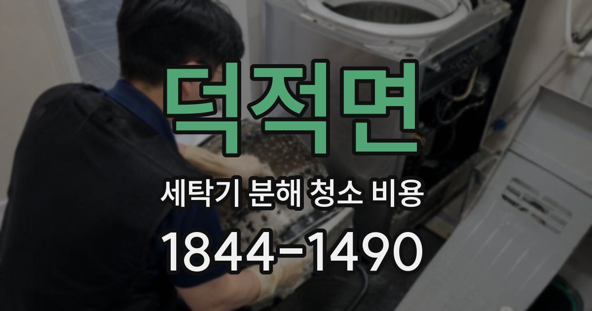 덕적면 세탁기 분해 청소 비용