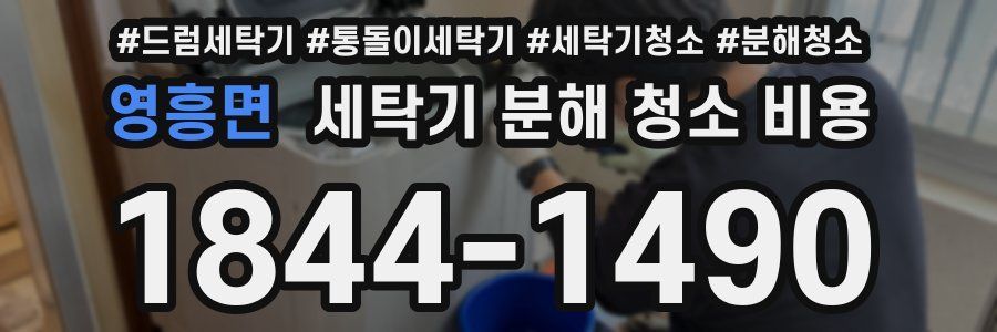 영흥면 세탁기 분해 청소 비용