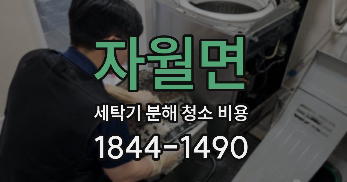 자월면 세탁기 분해 청소 비용
