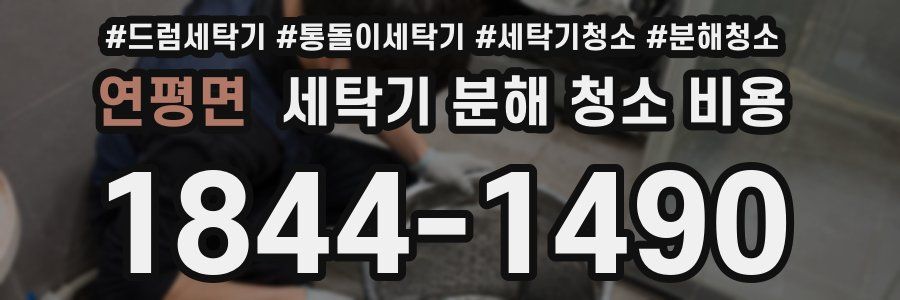 연평면 세탁기 분해 청소 비용
