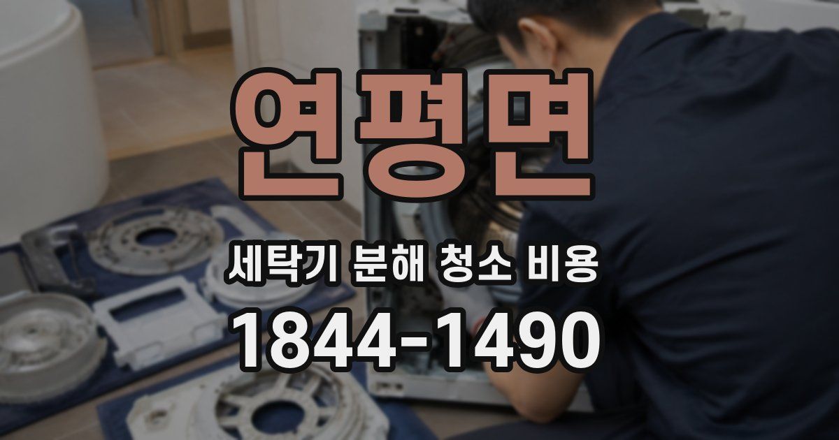연평면 세탁기 분해 청소 비용