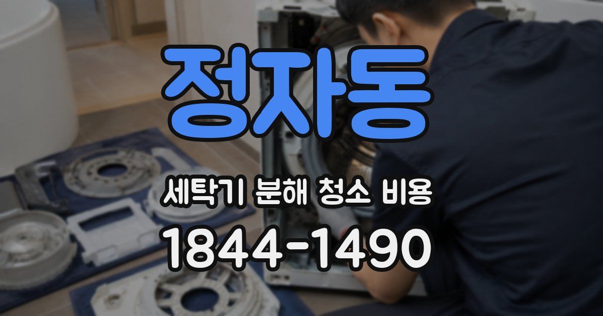 정자동 세탁기 분해 청소 비용