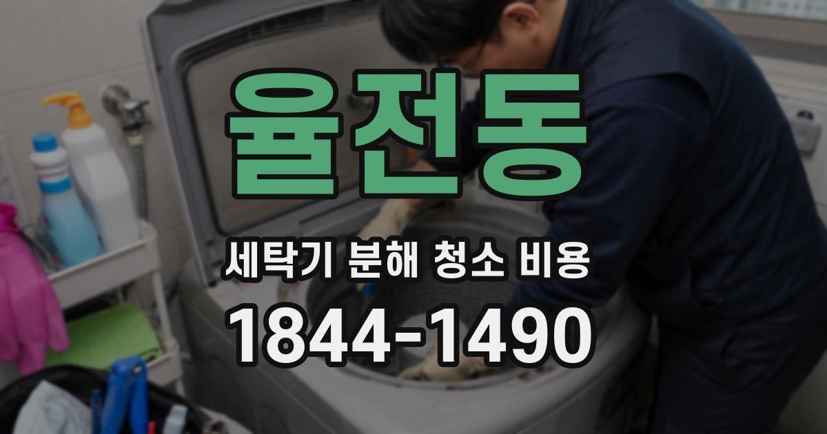 율전동 세탁기 분해 청소 비용