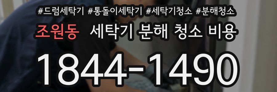 조원동 세탁기 분해 청소 비용