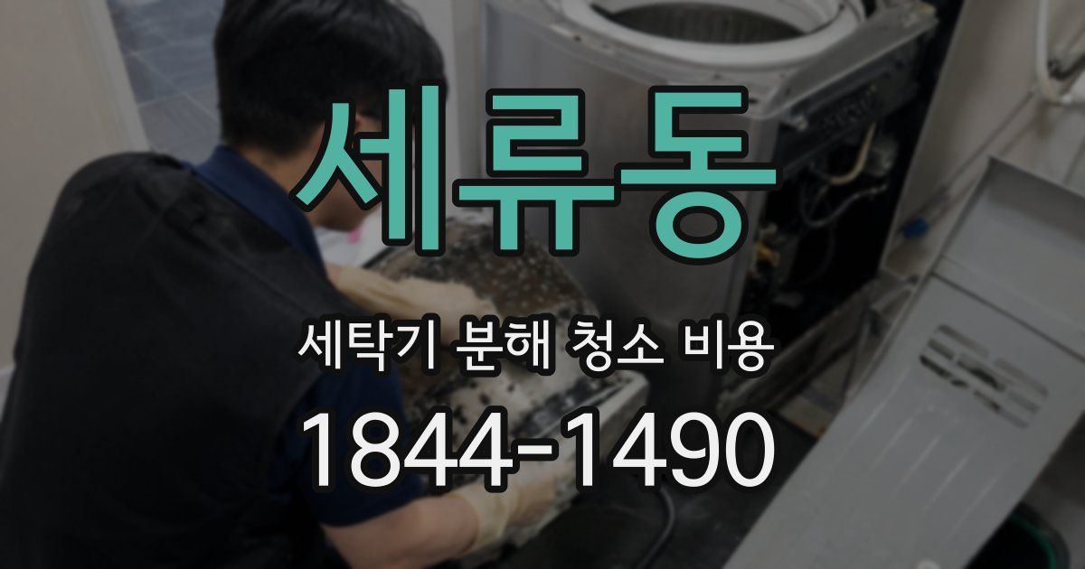 세류동 세탁기 분해 청소 비용
