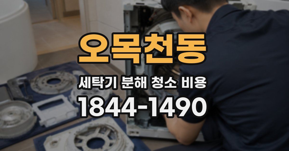 오목천동 세탁기 분해 청소 비용