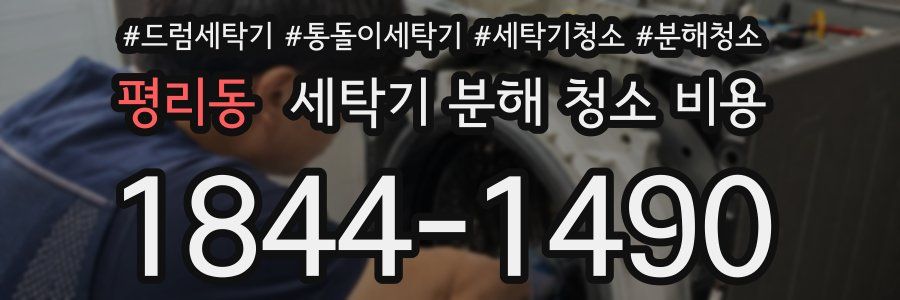 평리동 세탁기 분해 청소 비용