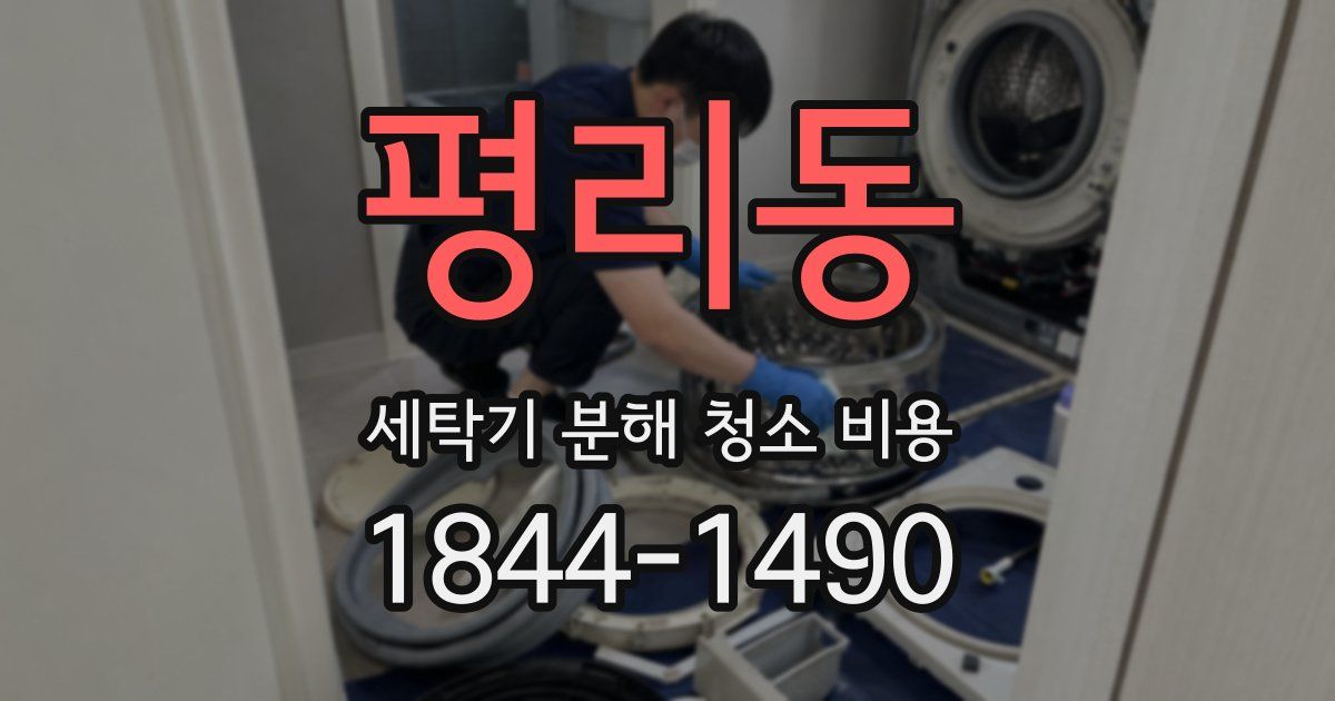 평리동 세탁기 분해 청소 비용
