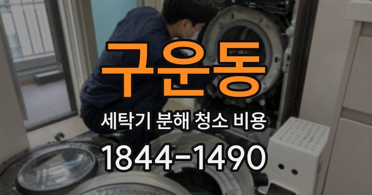 구운동 세탁기 분해 청소 비용