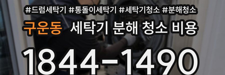 구운동 세탁기 분해 청소 비용