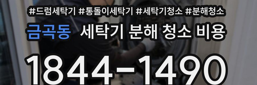 금곡동 세탁기 분해 청소 비용
