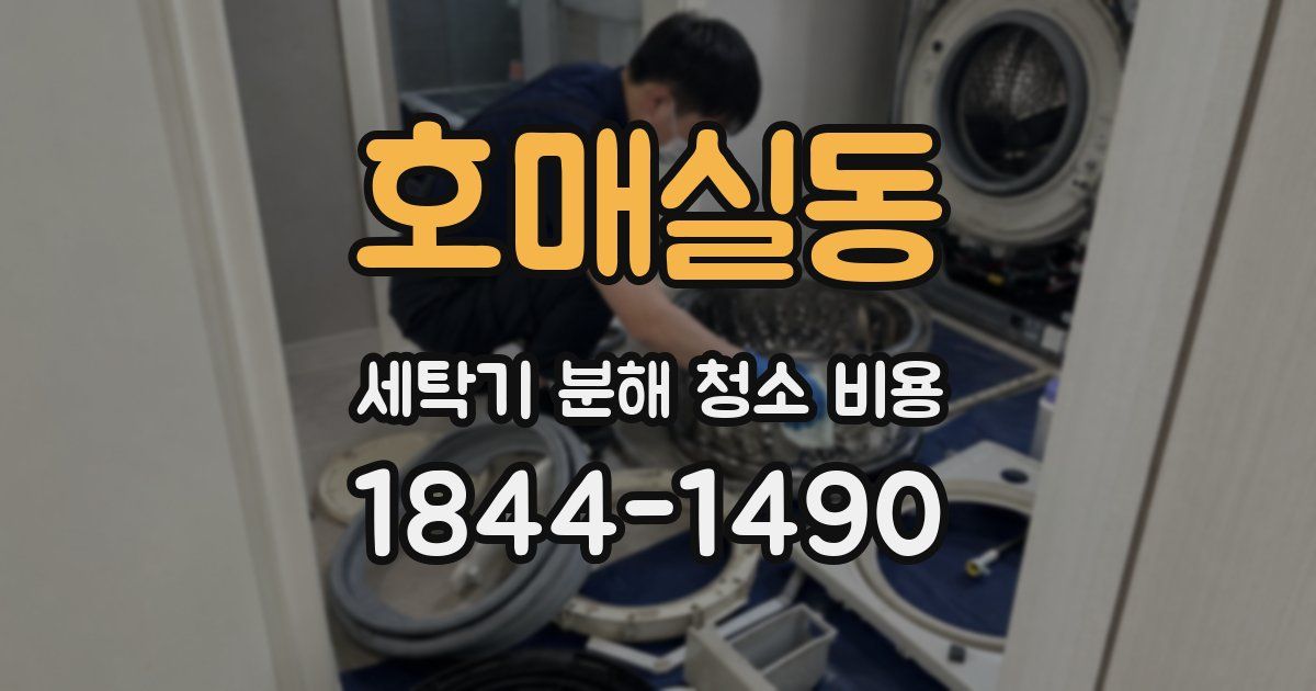 호매실동 세탁기 분해 청소 비용