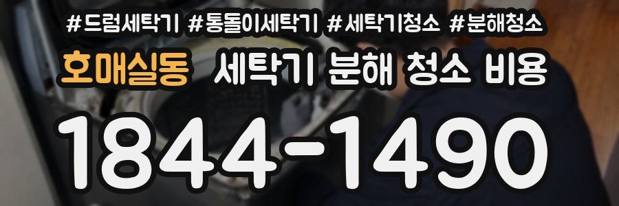 호매실동 세탁기 분해 청소 비용