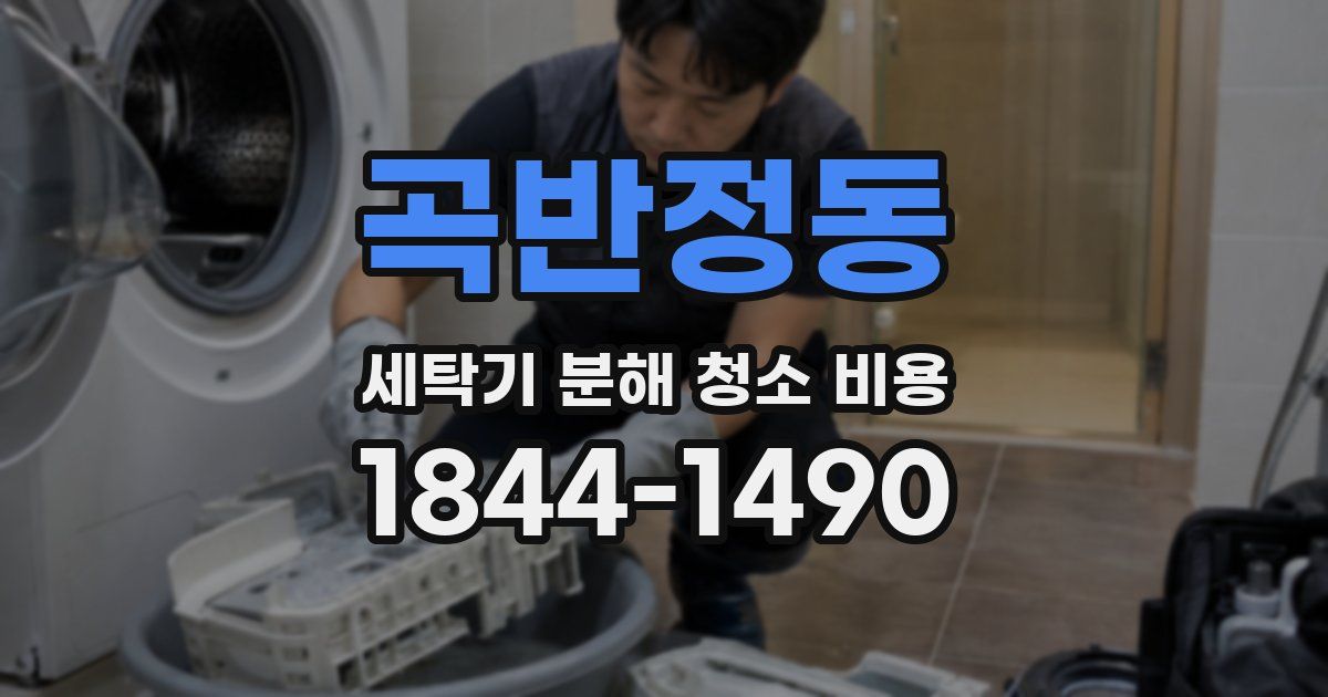 곡반정동 세탁기 분해 청소 비용