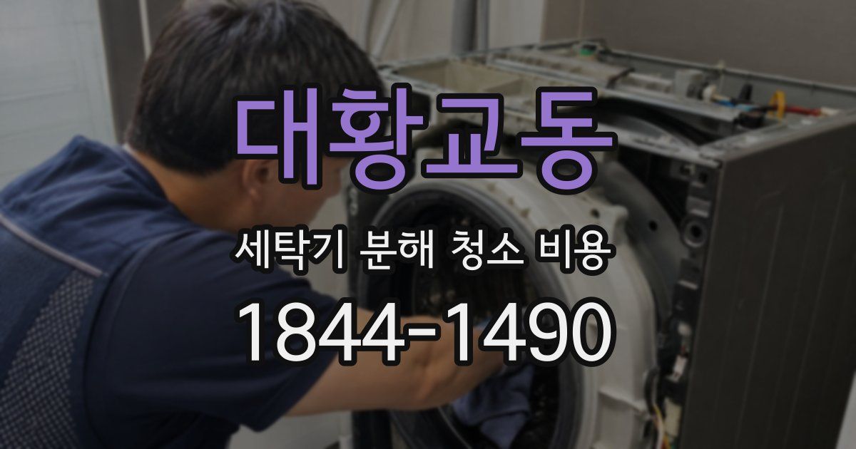 대황교동 세탁기 분해 청소 비용