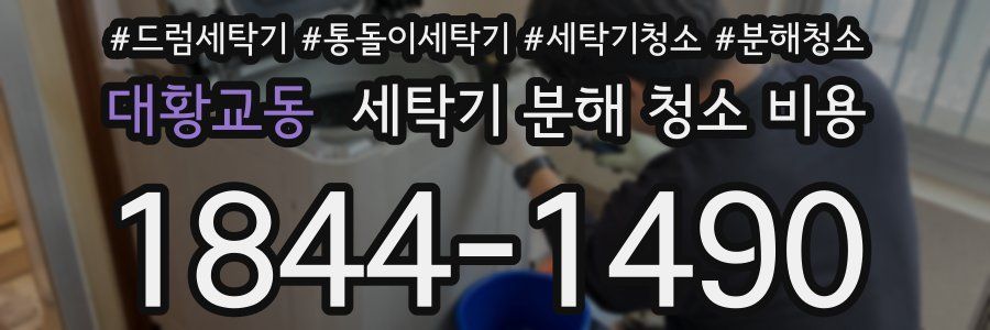 대황교동 세탁기 분해 청소 비용