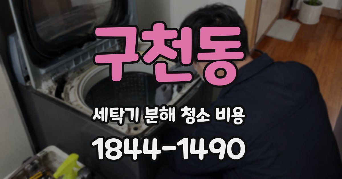 구천동 세탁기 분해 청소 비용