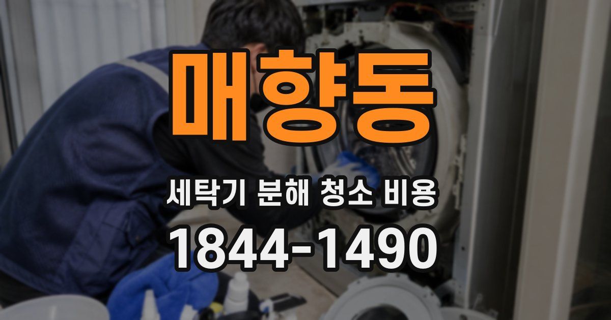 매향동 세탁기 분해 청소 비용