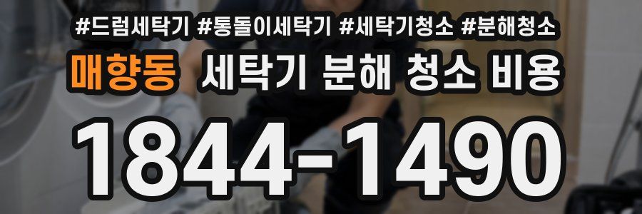매향동 세탁기 분해 청소 비용