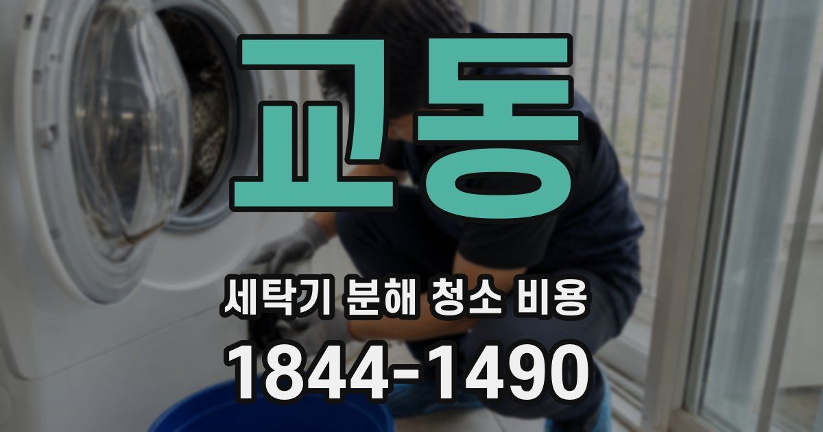 교동 세탁기 분해 청소 비용