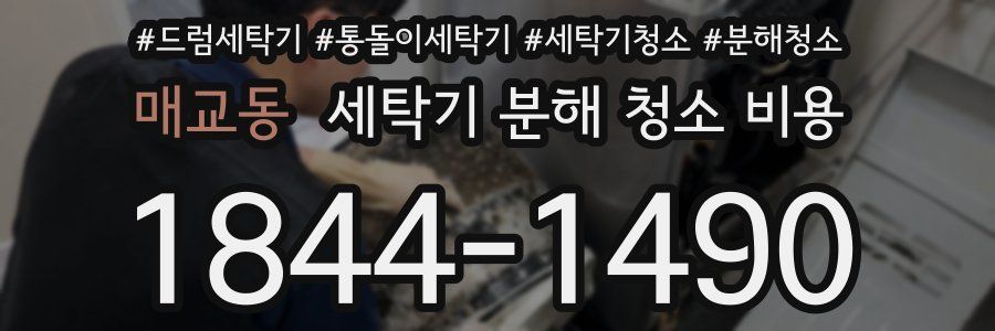 매교동 세탁기 분해 청소 비용
