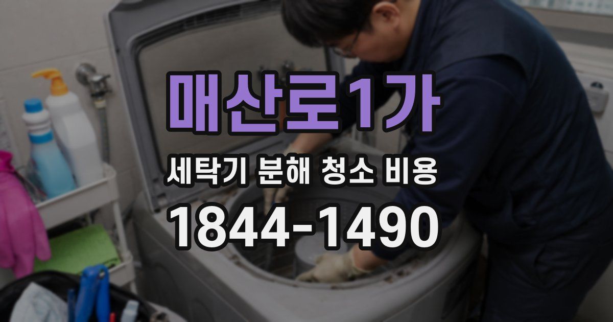 매산로1가 세탁기 분해 청소 비용