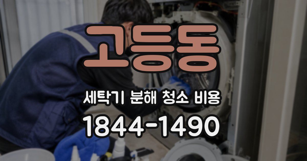 고등동 세탁기 분해 청소 비용