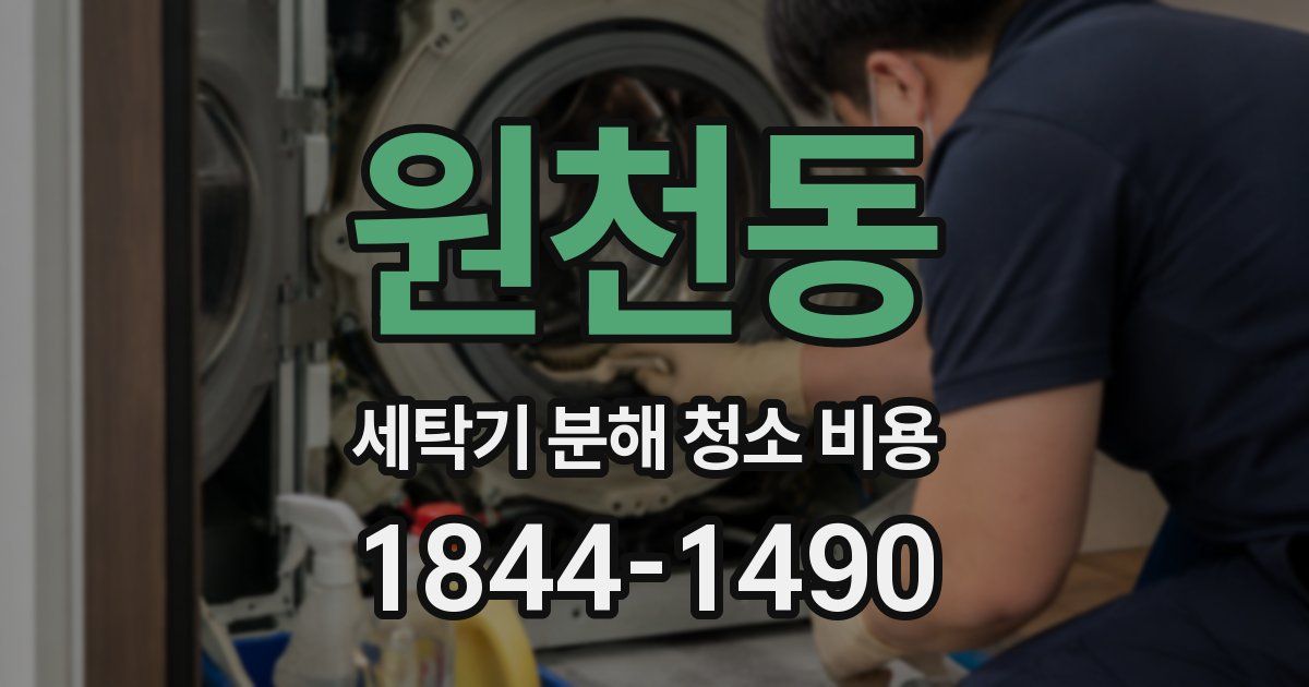 원천동 세탁기 분해 청소 비용