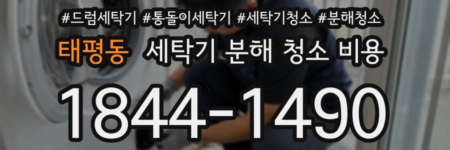 태평동 세탁기 분해 청소 비용