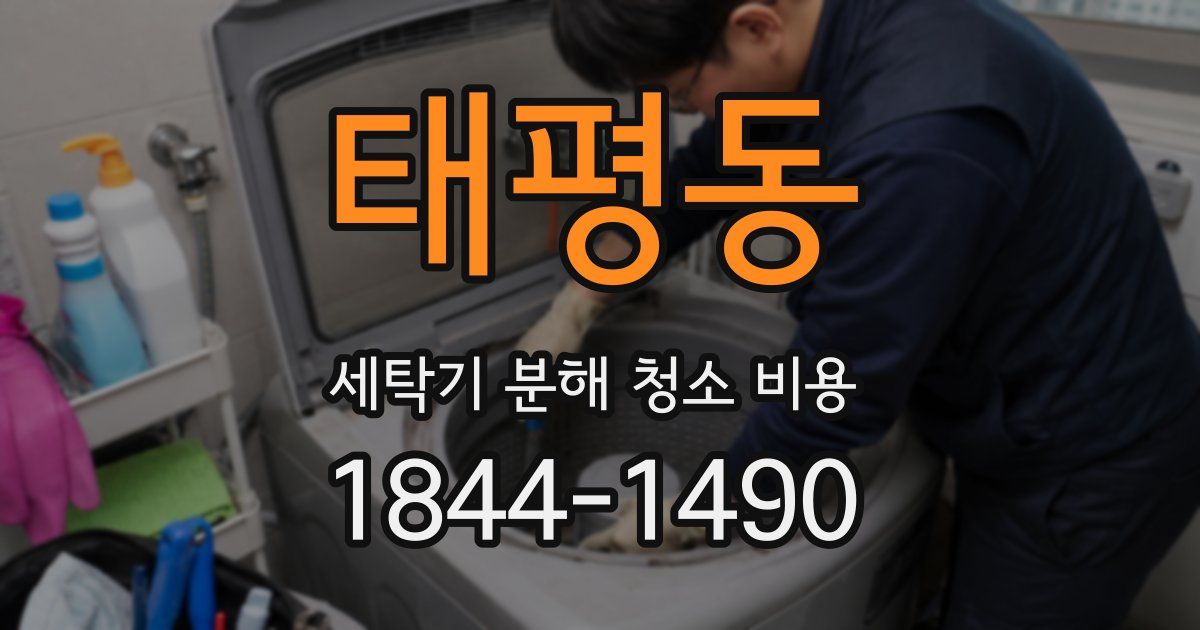 태평동 세탁기 분해 청소 비용