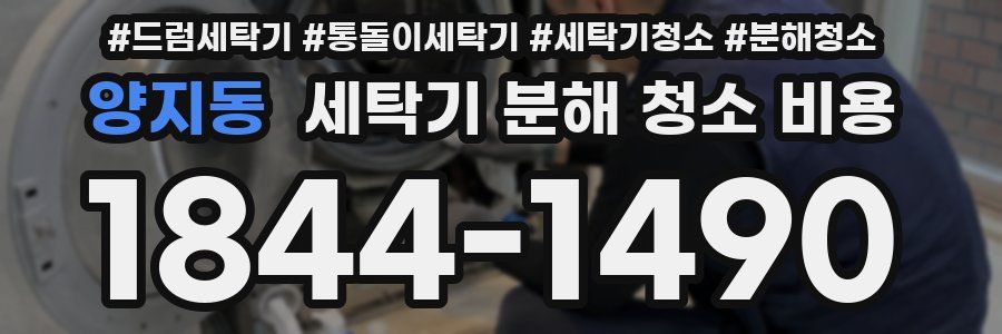 양지동 세탁기 분해 청소 비용