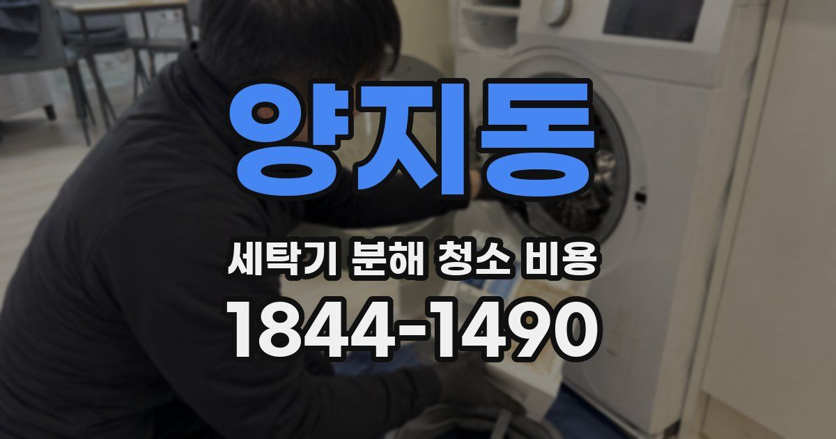 양지동 세탁기 분해 청소 비용
