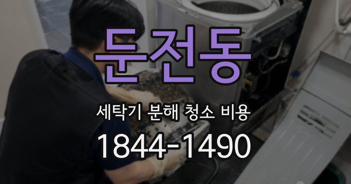 둔전동 세탁기 분해 청소 비용