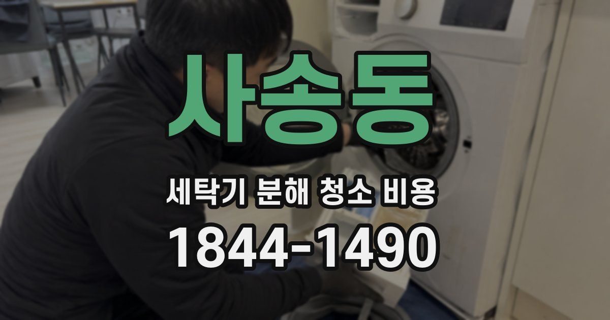 사송동 세탁기 분해 청소 비용