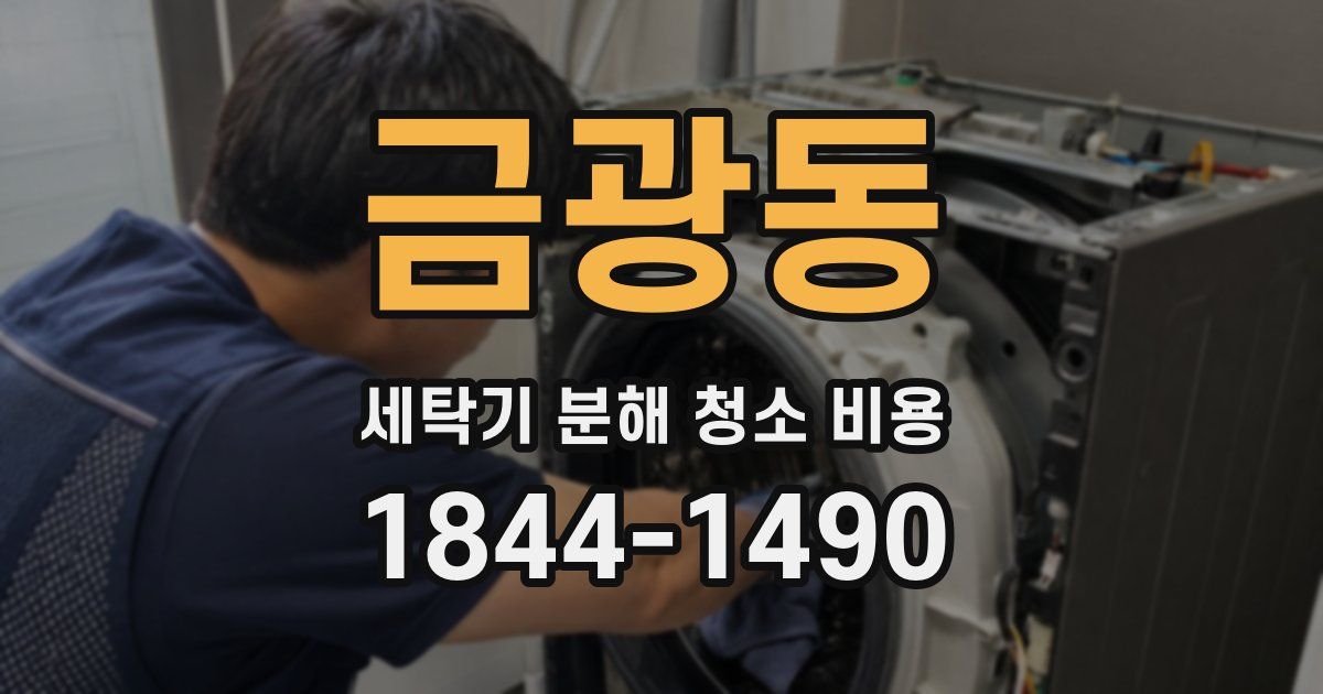 금광동 세탁기 분해 청소 비용