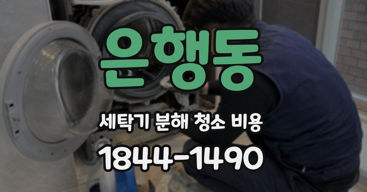 은행동 세탁기 분해 청소 비용