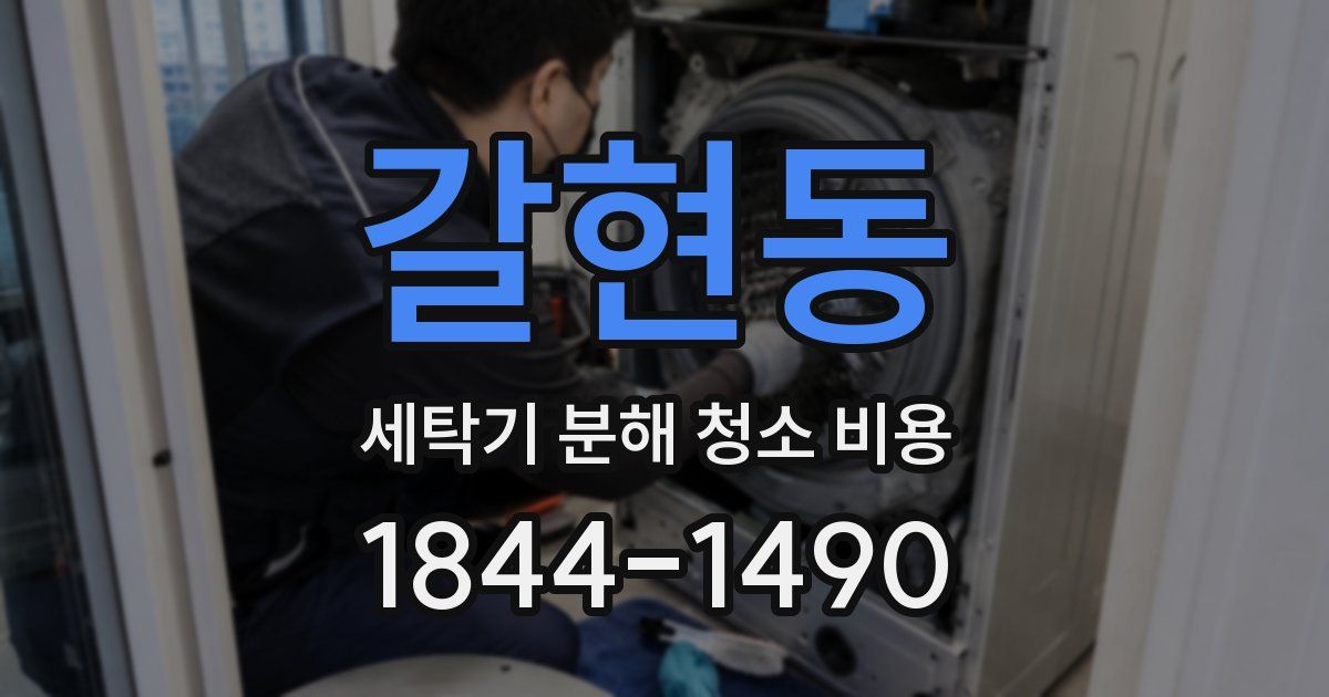 갈현동 세탁기 분해 청소 비용