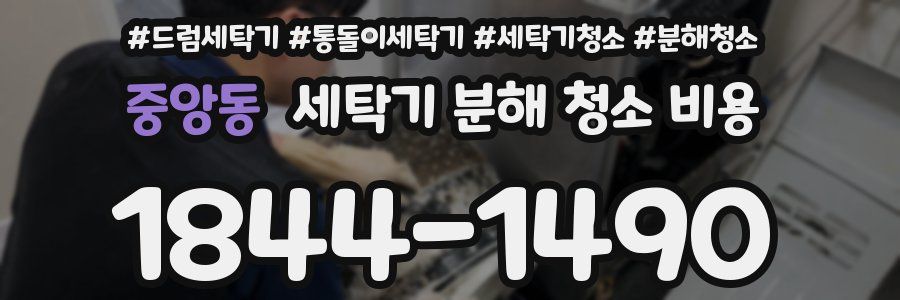 중앙동 세탁기 분해 청소 비용