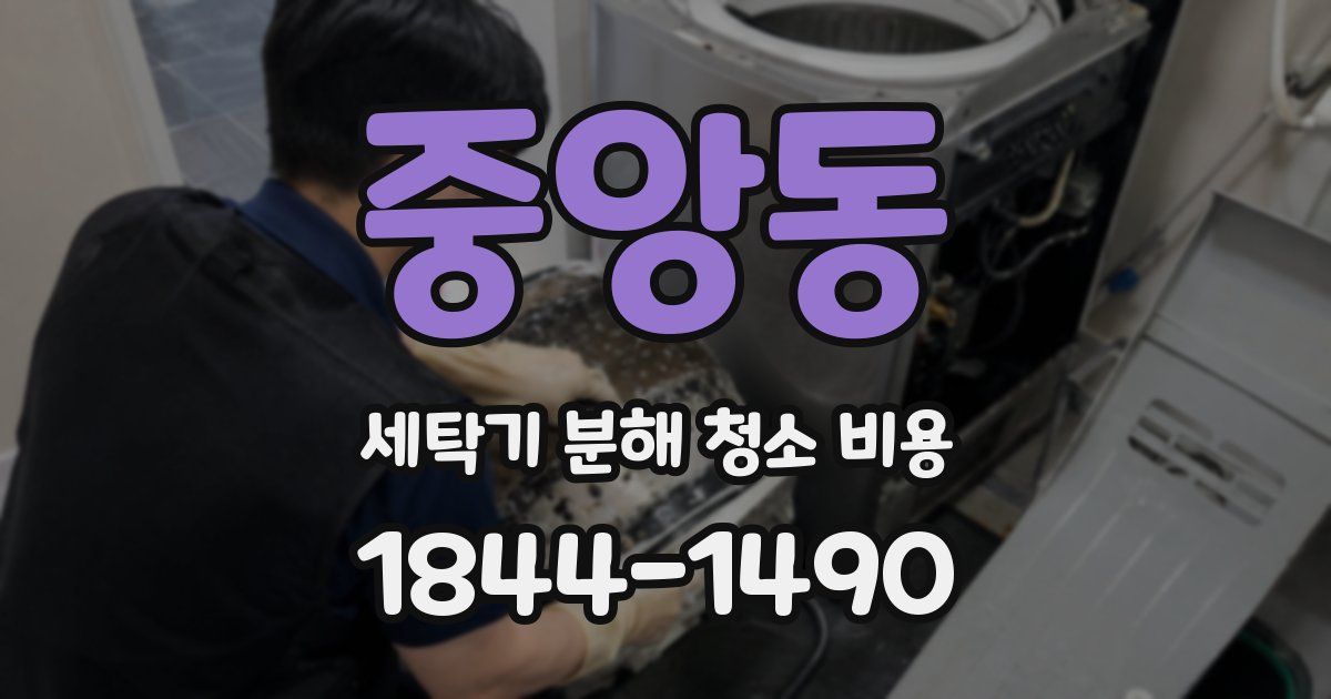 중앙동 세탁기 분해 청소 비용