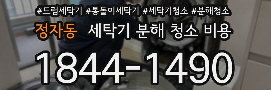 정자동 세탁기 분해 청소 비용