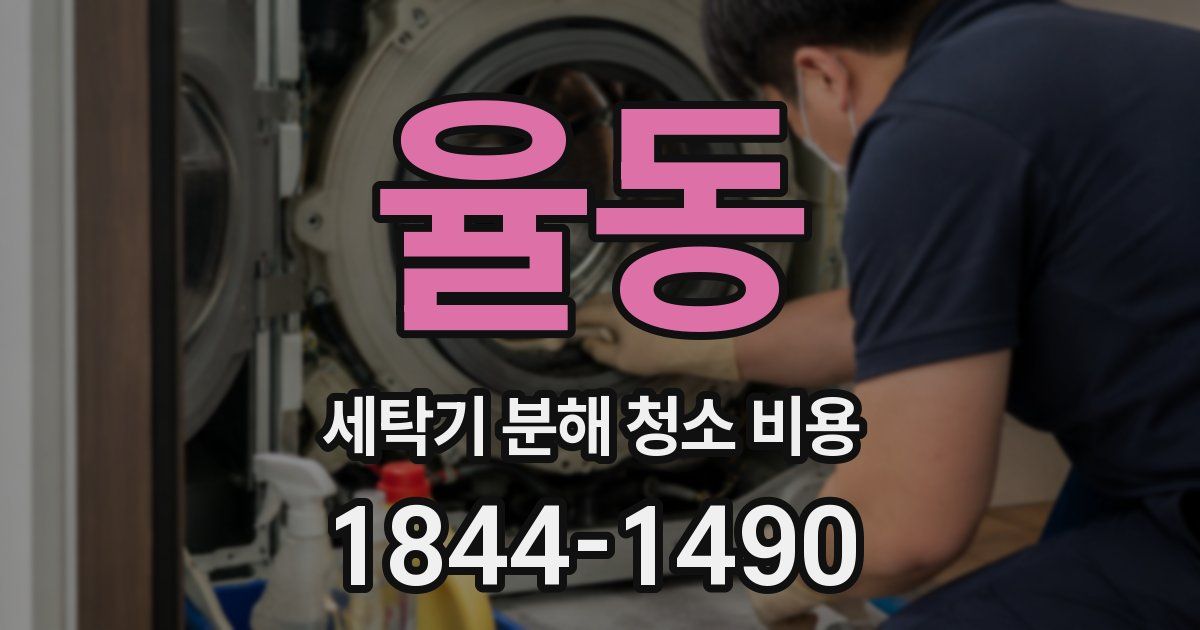 율동 세탁기 분해 청소 비용