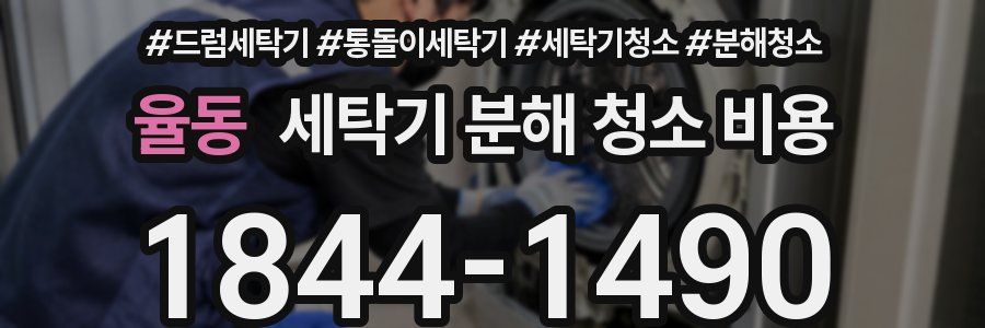 율동 세탁기 분해 청소 비용