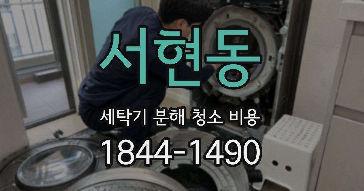서현동 세탁기 분해 청소 비용