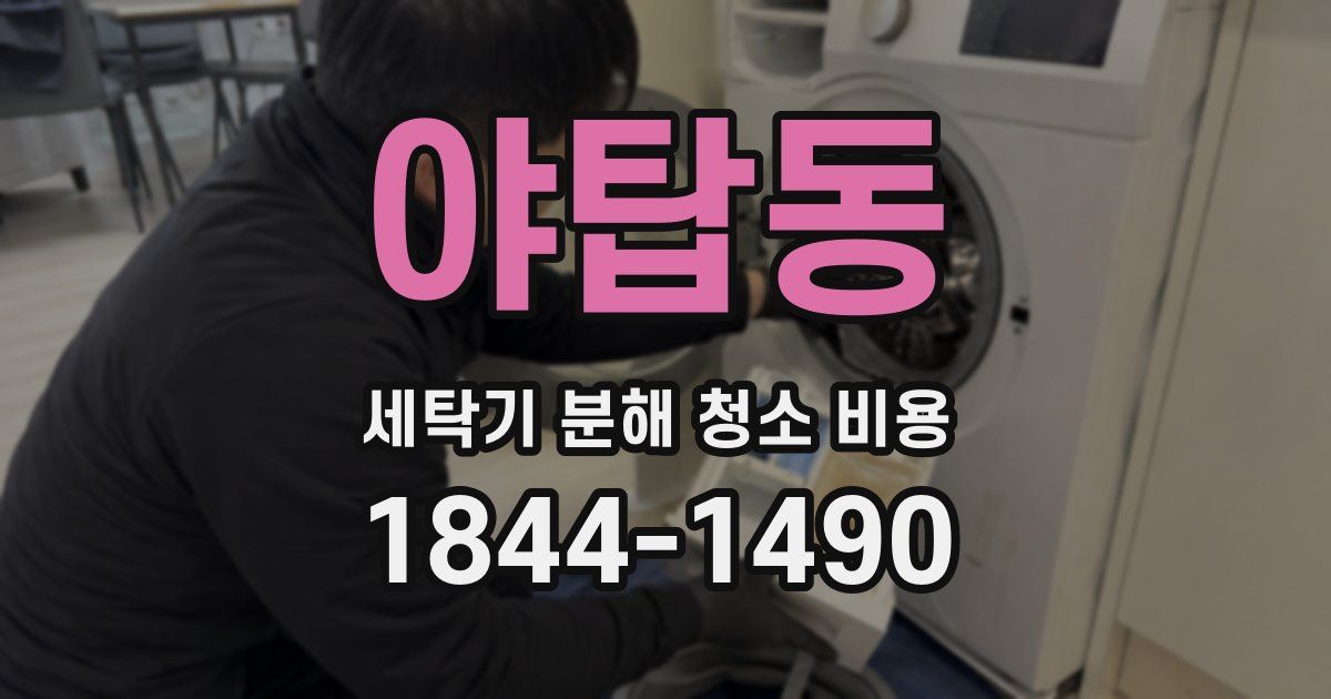 야탑동 세탁기 분해 청소 비용